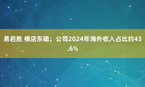 易启胜 横店东磁：公司2024年海外收入占比约43.6%
