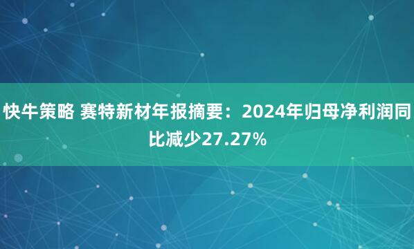 快牛策略 赛特新材年报摘要：2024年归母净利润同比减少27.27%