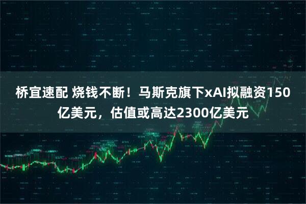 桥宜速配 烧钱不断！马斯克旗下xAI拟融资150亿美元，估值或高达2300亿美元