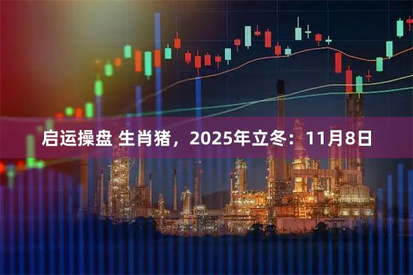启运操盘 生肖猪，2025年立冬：11月8日